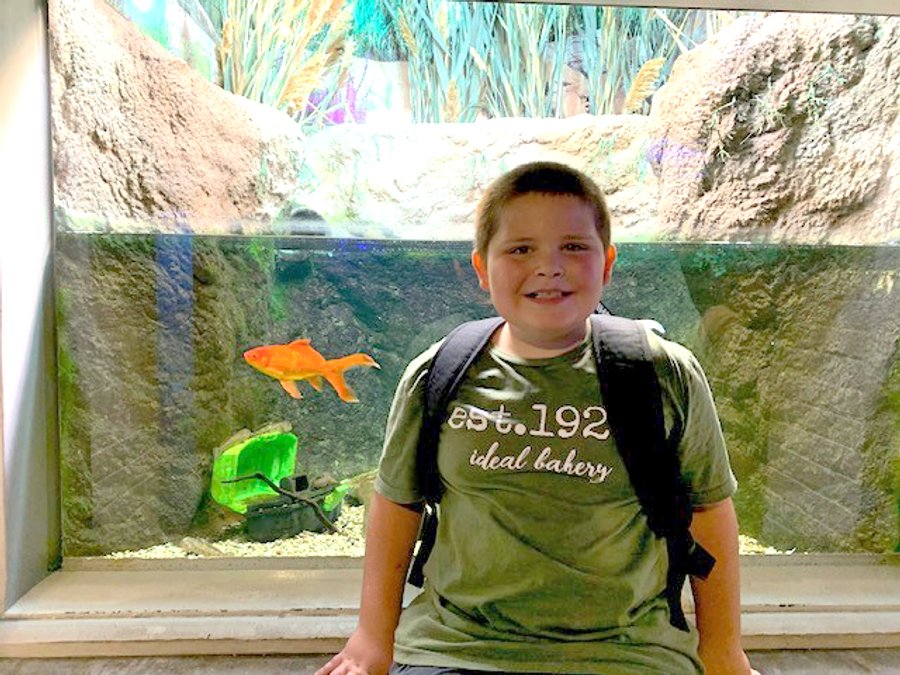 Young boy in olive green shirt smiling at aquarium with colorful fish behind him